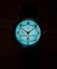 Timex Harry Potter Weekender Ravenclaw House TW2Y76500QY